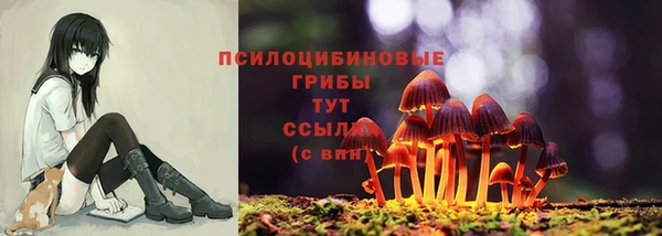 a pvp Волосово